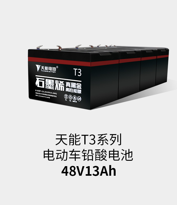 乐虎lehuT3系列48v13ah