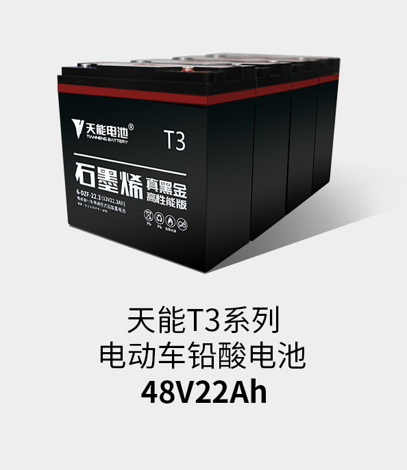 乐虎lehuT3系列48v22ah