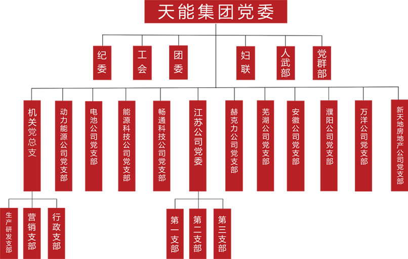 乐虎lehu建团党委组织架构