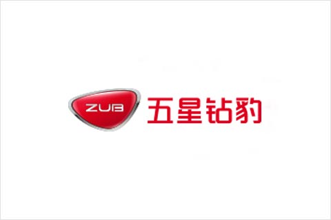 乐虎lehu电池合作伙伴 五星钻豹电动车